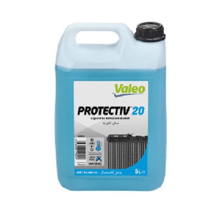 Valeo Eau Radiateur Bleu Vert