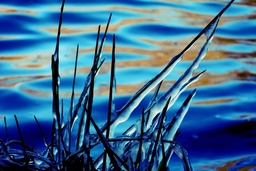 FLEX Eau De Glace  Bleu